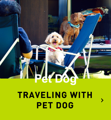 愛犬と旅行 TRAVELING WITH PET DOG