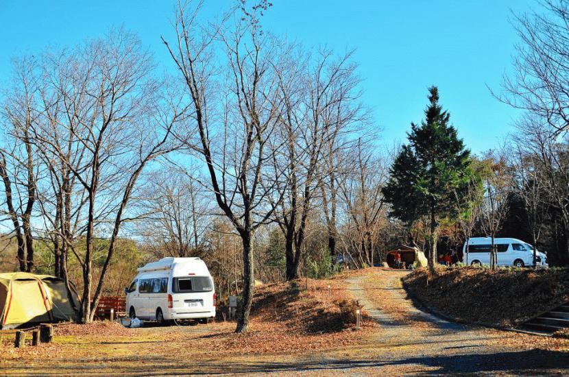 Kids have great fun when we go camping and I just love sitting back and watching how they enjoy themselves.:写真