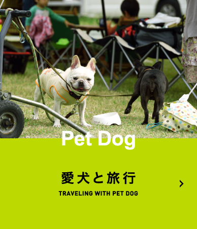 愛犬と旅行 TRAVELING WITH PET DOG